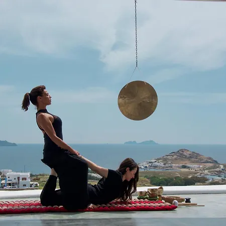 Alegria Mykonos 14 Βίλα Καλαφάτη