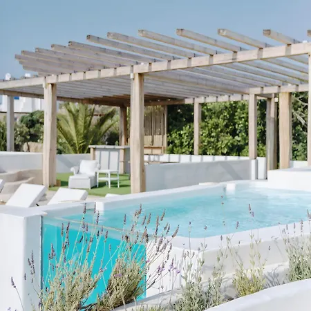 Alegria Mykonos 14 * 칼라파티스